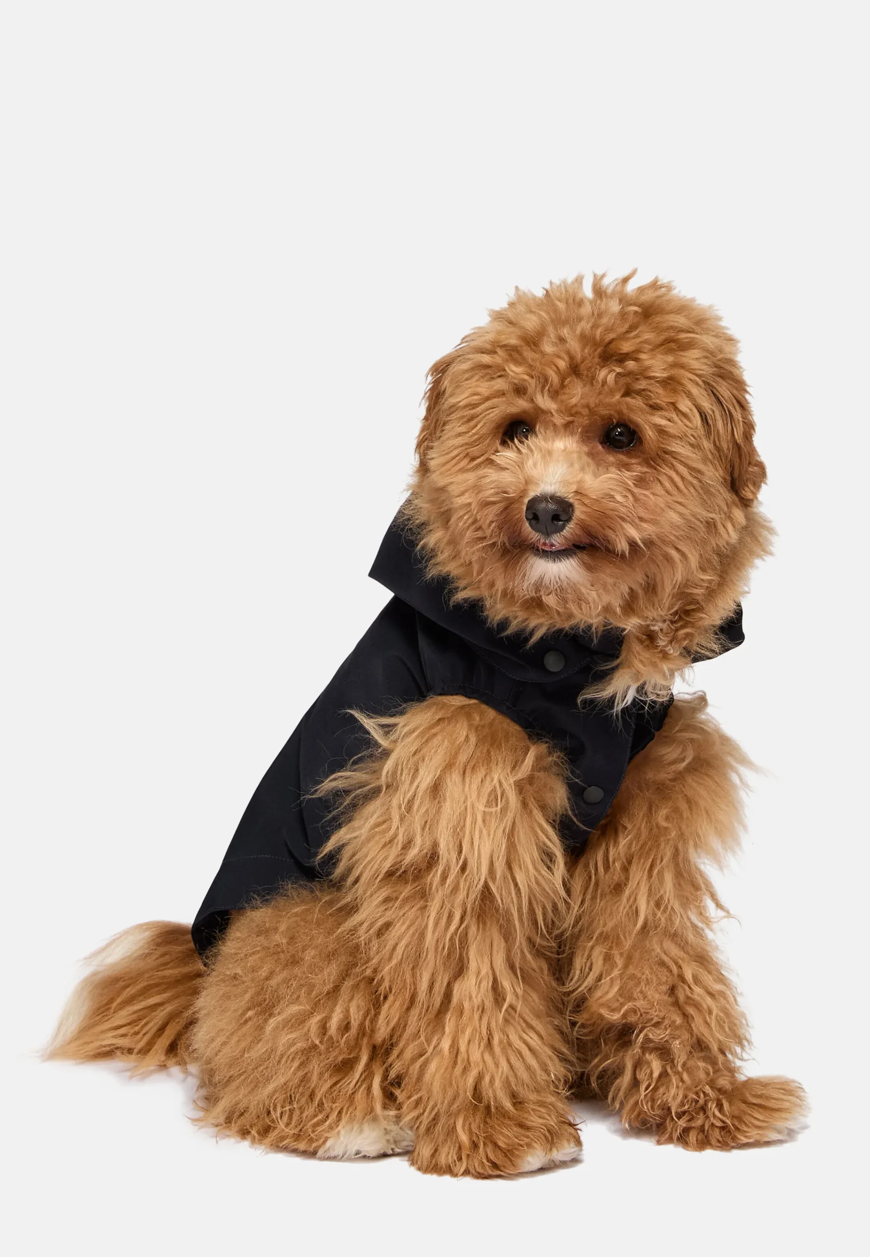 Petwear-Boggi Milano Imperméable Technique Pour Chien bleu marine